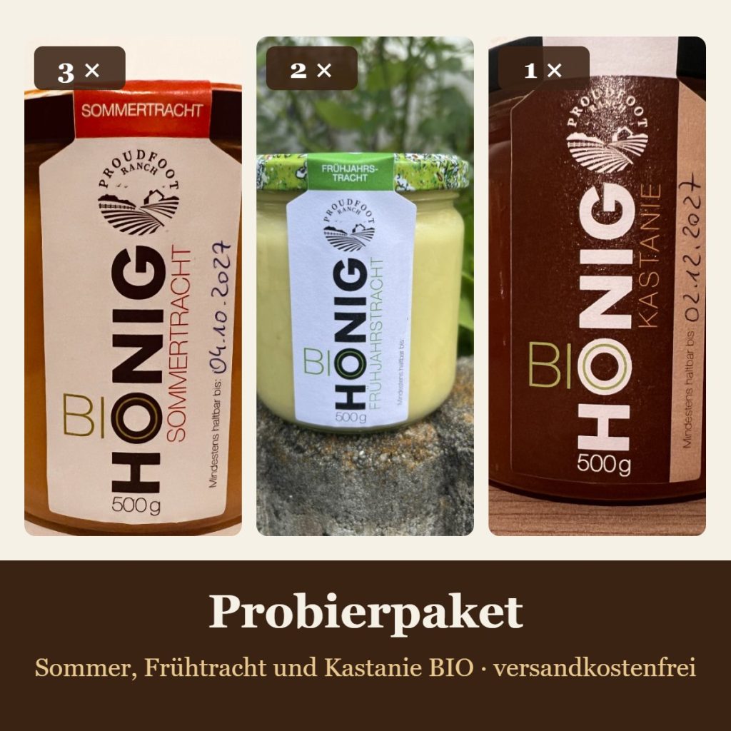 Probierpaket: 3 Gläser Sommertracht, 2 Gläser Frühtracht, 1 Glas Kastanie BIO
