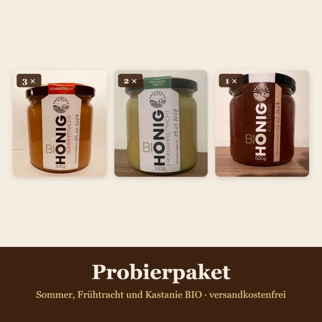 Probierpaket: 3 Gläser Sommertracht, 2 Gläser Frühtracht und 1 Glas Kastanie BIO